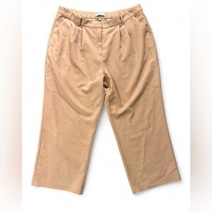 Abercrombie & Fitch Beige Pleated Straight-Leg Trousers